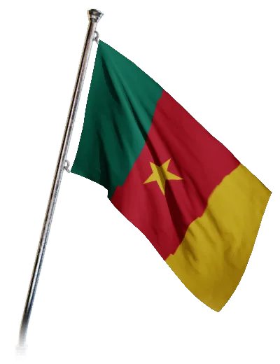 Cameroon, banner