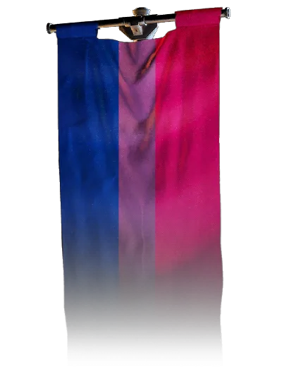 Bisexual, banner