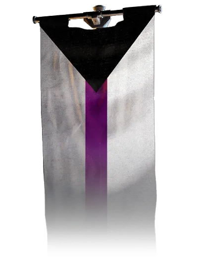Demisexual, banner