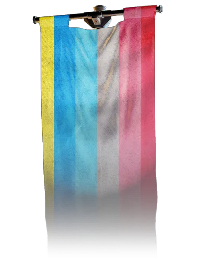 Genderflux, banner